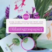 olifantsgraspapier geboortekaartjes trouwkaarten digitaal print kleur