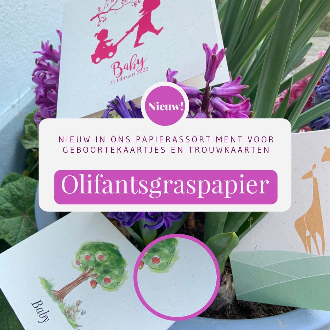 olifantsgraspapier geboortekaartjes trouwkaarten digitaal print kleur