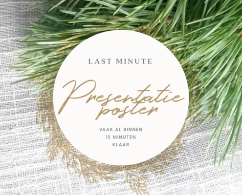 presentatieposter: basic -budget of quality, spoed last-minute