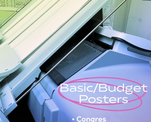basic budget poster voor congres studie en presentatie