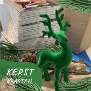 Kerstkaarten digitaal print kleur