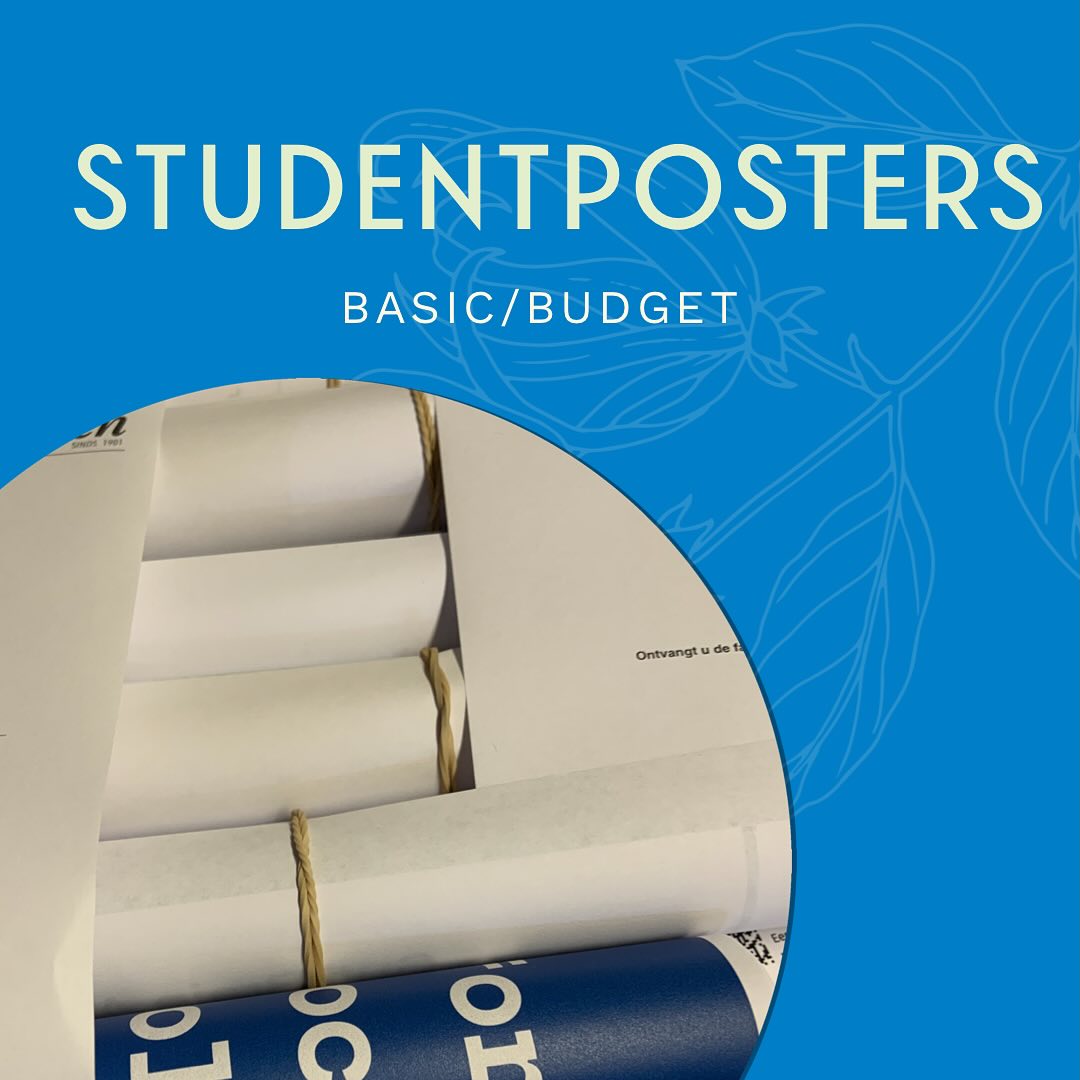 studentposter basic budget